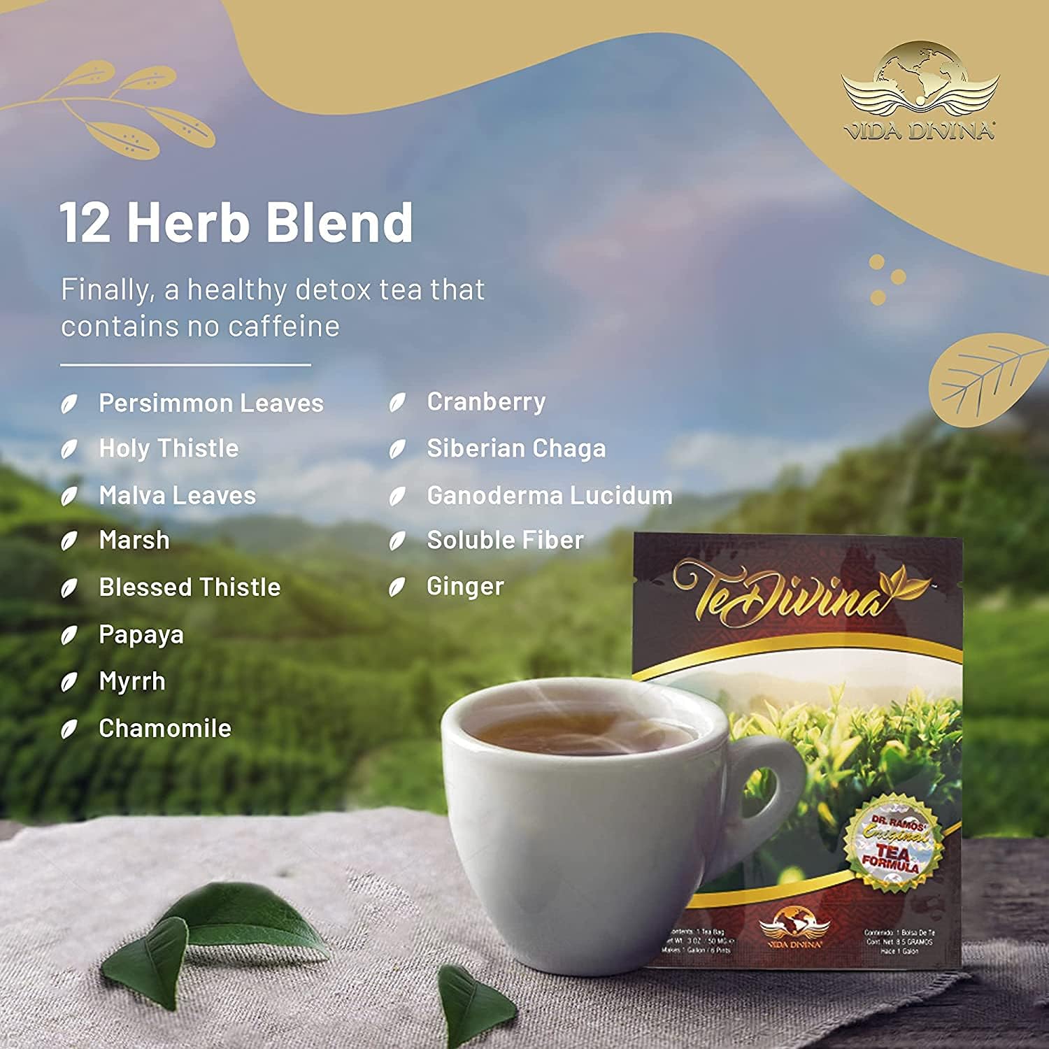 TeDivina Convenient Pack
